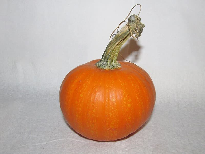 Small pumpkin